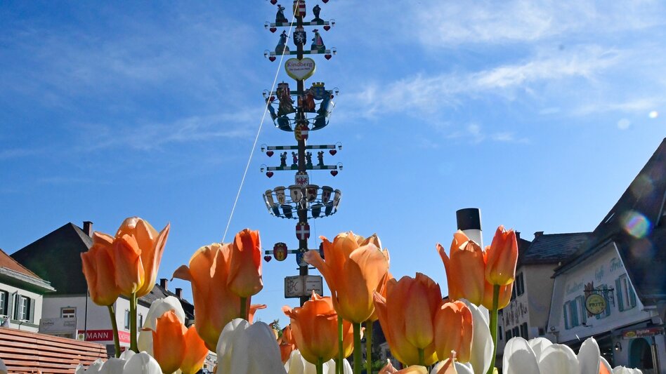 Radfahren Mürztalradweg R5 - Touren-Impression #2.11 | © TV Hochsteiermark