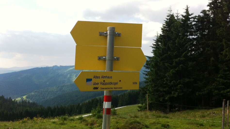 Hiking route From the Salzstiegl to the Altes Almhaus: "Summit victory on the Rappold" - Touren-Impression #2.2 | © Region Graz