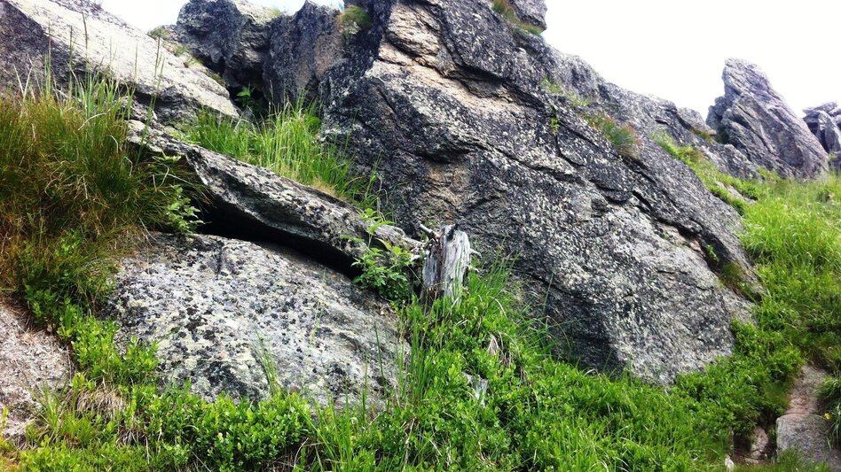 Hiking route From the Salzstiegl to the Altes Almhaus: "Summit victory on the Rappold" - Touren-Impression #2.3 | © Region Graz