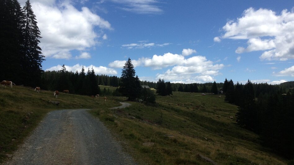 Hiking route Winkelwanderung: Von Modriach-Winkel auf die Hebalm - Touren-Impression #2.1 | © Community
