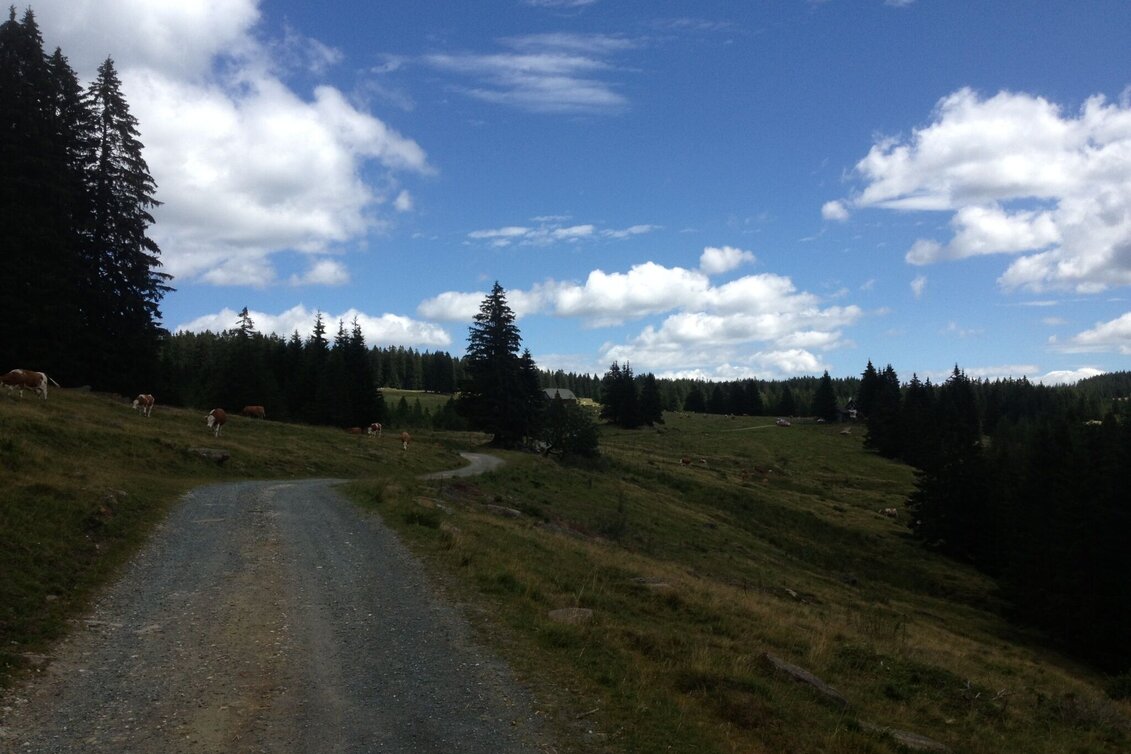 Hiking route Winkelwanderung: Von Modriach-Winkel auf die Hebalm - Touren-Impression #1 | © Community