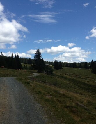 Hebalm | Katrin Schwarz | © Community