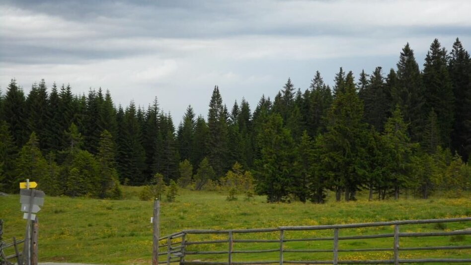 Hiking route Winkelwanderung: Von Modriach-Winkel auf die Hebalm - Touren-Impression #2.5 | © Region Graz
