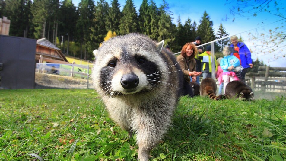 Bike Riding Rastlandradweg R15 - Touren-Impression #2.7 | © Tourismusverband ERZBERG LEOBEN