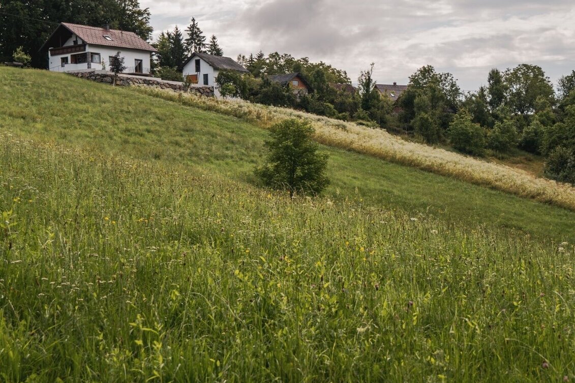 Hiking route Greith – Wege Genusstour – Tour 32 lt. WK „Von der Alm zum Wein“ - Touren-Impression #1 | © TV Südsteiermark/Silvan