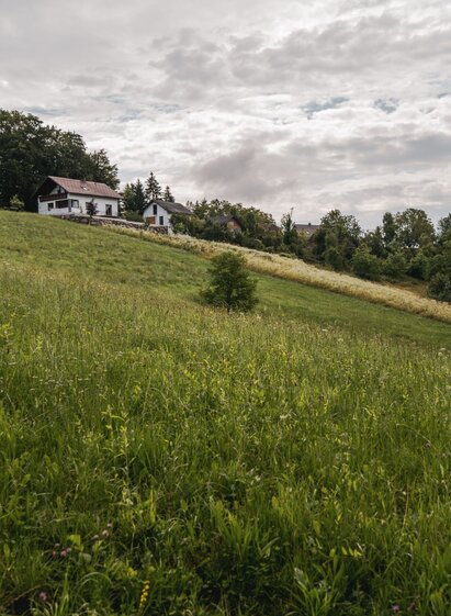 Landschaft | © TV Südsteiermark/Silvan | Silvan | © TV Südsteiermark/Silvan