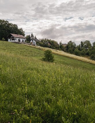 Landschaft | Silvan | © TV Südsteiermark/Silvan
