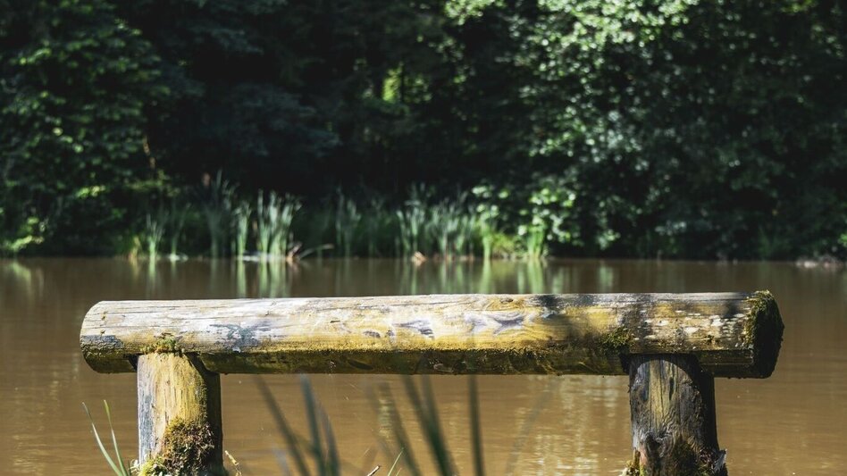 Hiking route Greith – Wege Genusstour – Tour 32 lt. WK „Von der Alm zum Wein“ - Touren-Impression #2.9 | © TV Südsteiermark/Silvan