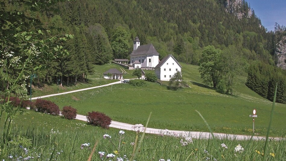 Wanderung Johnsbacher Sonnseitenweg - Touren-Impression #2.3 | © TV Gesäuse