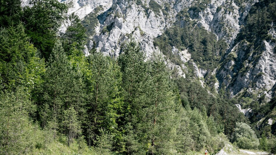 Wanderung Johnsbacher Sonnseitenweg - Touren-Impression #2.2 | © TV Gesäuse