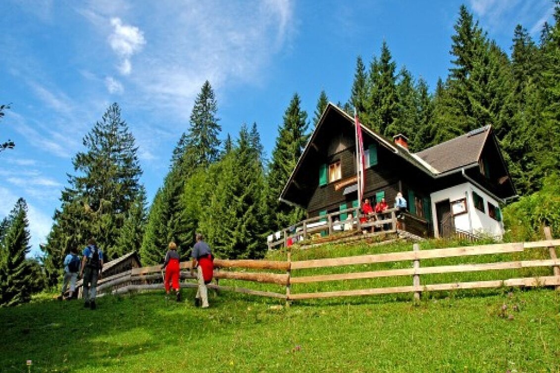 Mountain Hike From Palfau to the Naturfreundehütte - Touren-Impression #1 | © TV Gesäuse