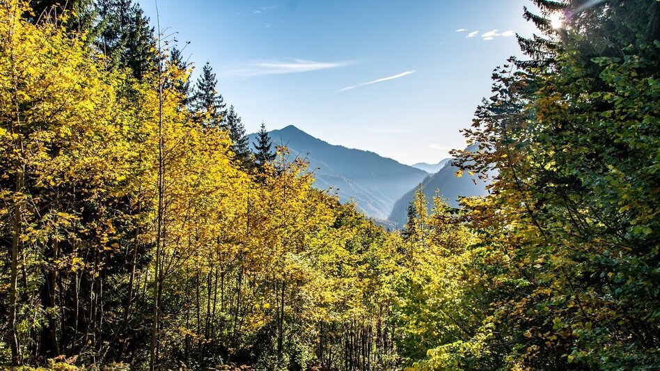 Mountain Hike From Palfau to the Naturfreundehütte - Touren-Impression #2.6 | © TV Gesäuse