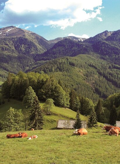 Kölblalm mit Blick zum Leobner | © Gesäuse - Admont | Dietmar Cupak | © Gesäuse - Admont