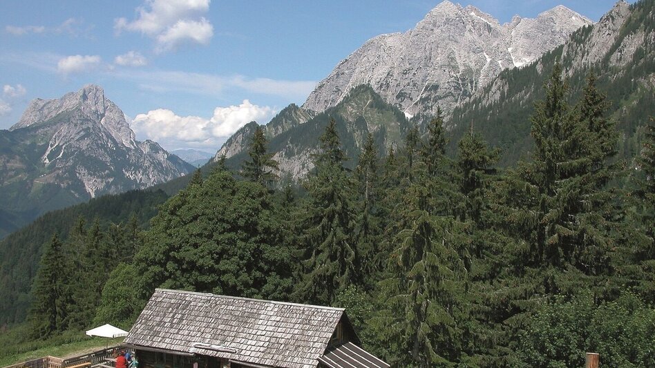 Hiking route Johnsbacher Almenrunde - Touren-Impression #2.3 | © Gesäuse - Admont