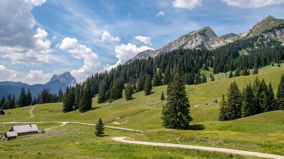 Hiking route Johnsbacher Almenrunde - Touren-Impression #2.5 | © TV Gesäuse