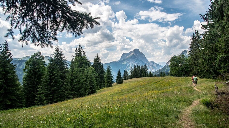 Hiking route Johnsbacher Almenrunde - Touren-Impression #2.7 | © TV Gesäuse