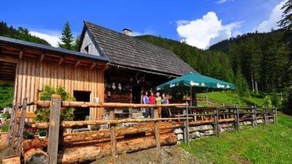 Hiking route Johnsbacher Almenrunde - Touren-Impression #2.12 | © TV Gesäuse