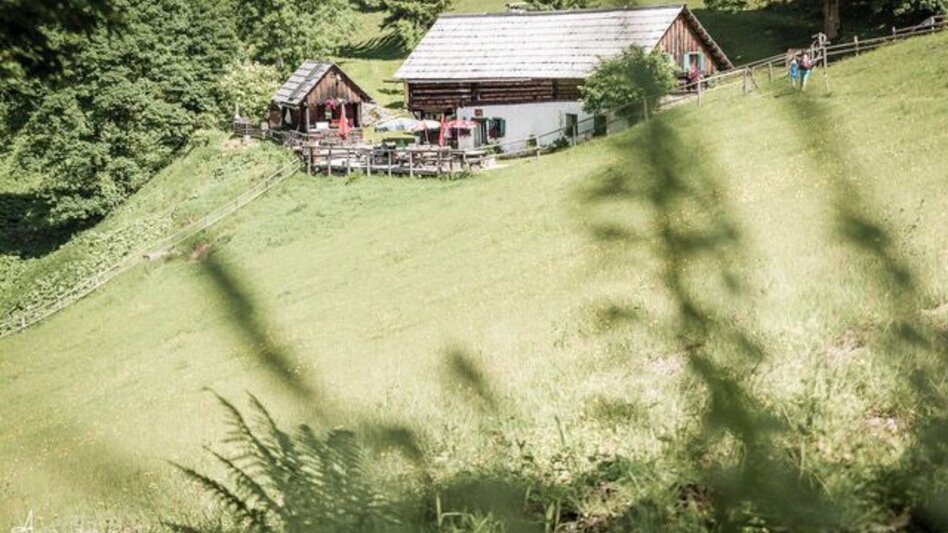 Hiking route Johnsbacher Almenrunde - Touren-Impression #2.13 | © TV Gesäuse