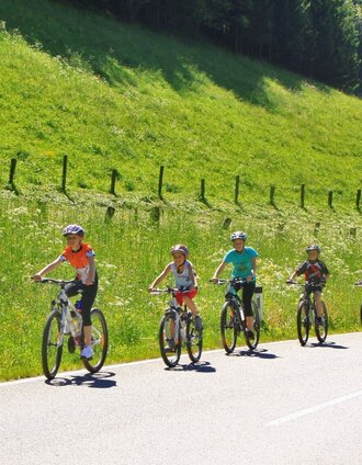 Auf dem Veitschtal-Radweg | Herbert Podbressnik | © TV Hochsteiermark