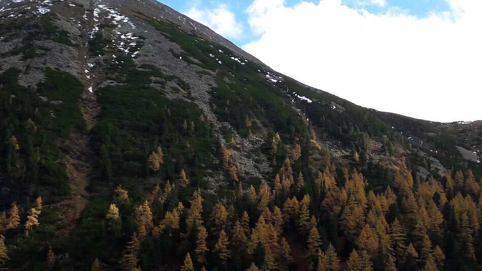 Bergtour Großer Grießstein - Triebental - Touren-Impression #2.2 | © Barbara Zandl