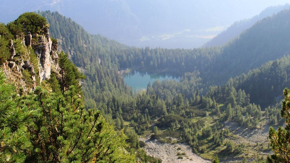 Bergtour Großer Grießstein - Triebental - Touren-Impression #2.3 | © Mathias Leitner