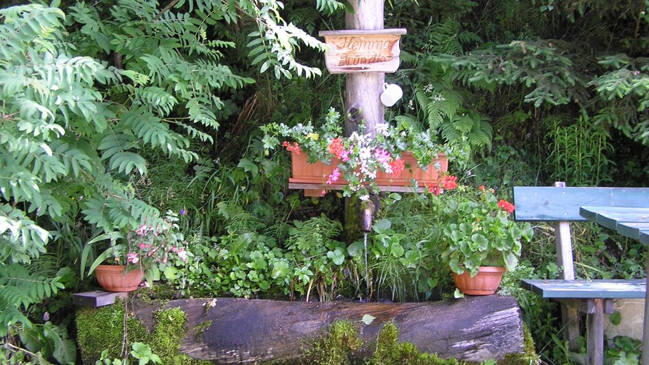 Pilgerweg Etappe 06 Hemma Pilgerweg Route Admont - Touren-Impression #2.2 | © Monika Gschwandner-Elkins