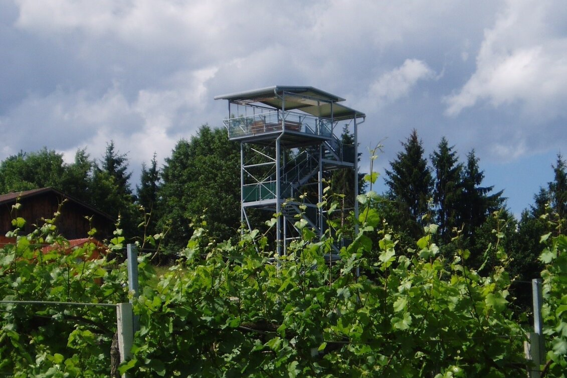 Long-Distance Hiking Via Alpina through Styria - Touren-Impression #1 | © Südsteiermark