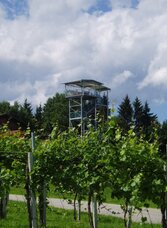 360° Panoramaturm Weingut Garber | © Südsteiermark | © Südsteiermark