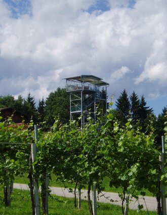 360° Panoramaturm Weingut Garber | © Südsteiermark