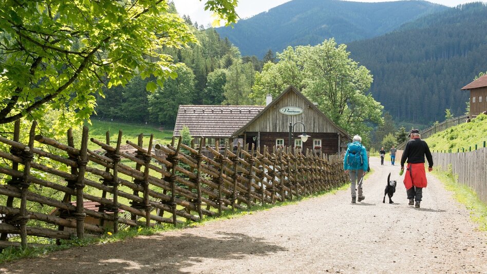 Hiking route Wulfingweg: The panoramic circular trail of the city of Kapfenberg - Touren-Impression #2.8 | © TV Hochsteiermark