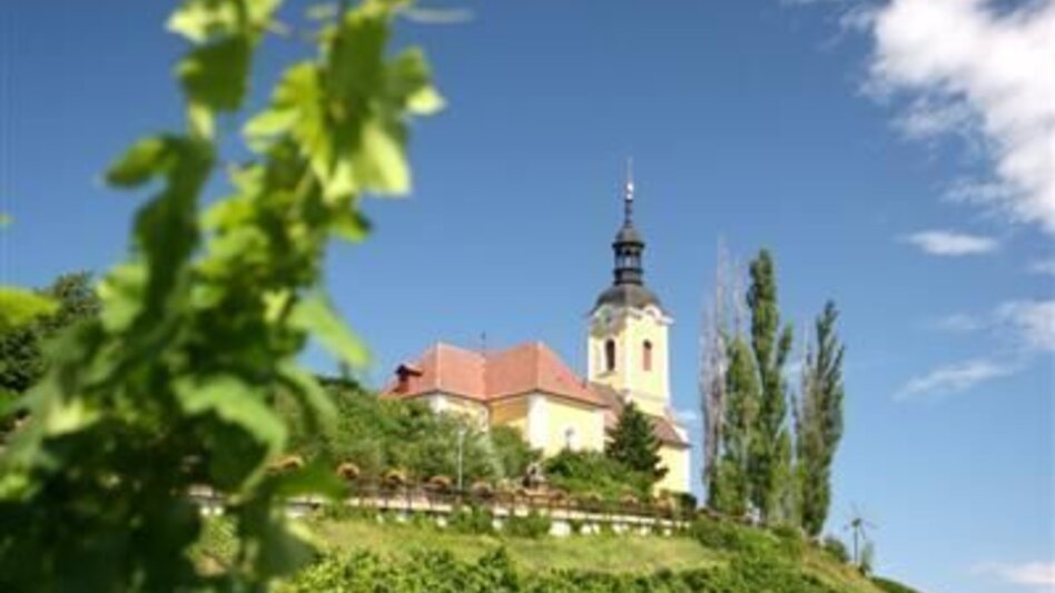 Hiking route Kitzeck Wine Trail K8 - Touren-Impression #2.3 | © TV Südsteiermark/Schiffer Symbol