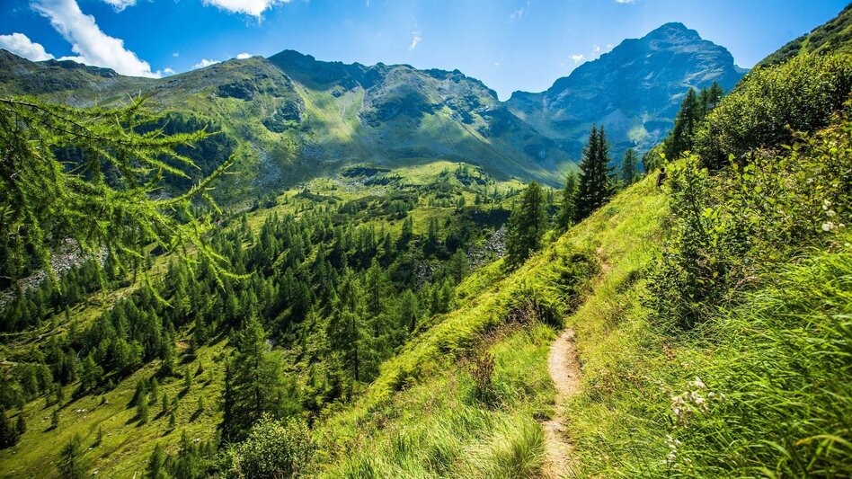 Regional hiking trail Alpine loop to the idyllic Moaralmsee - Touren-Impression #2.4 | © TVB Haus-Aich-Gössenberg
