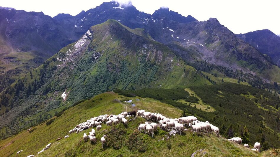 Bergtour Höchstein (2.543 m) - Touren-Impression #2.3 | © Erlebnisregion Schladming-Dachstein