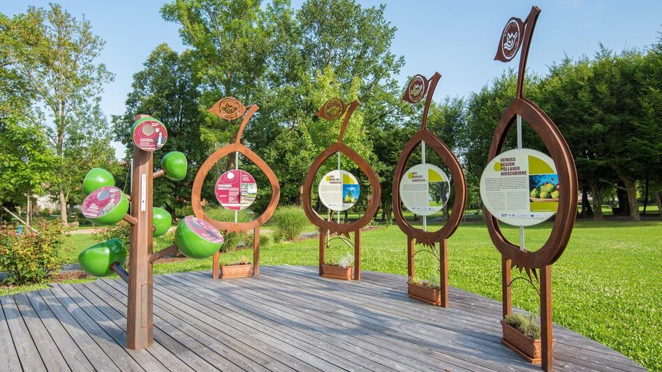 Wanderung Hirschbirnweg, Richtung Pöllauberg - Touren-Impression #2.3 | © Oststeiermark Tourismus