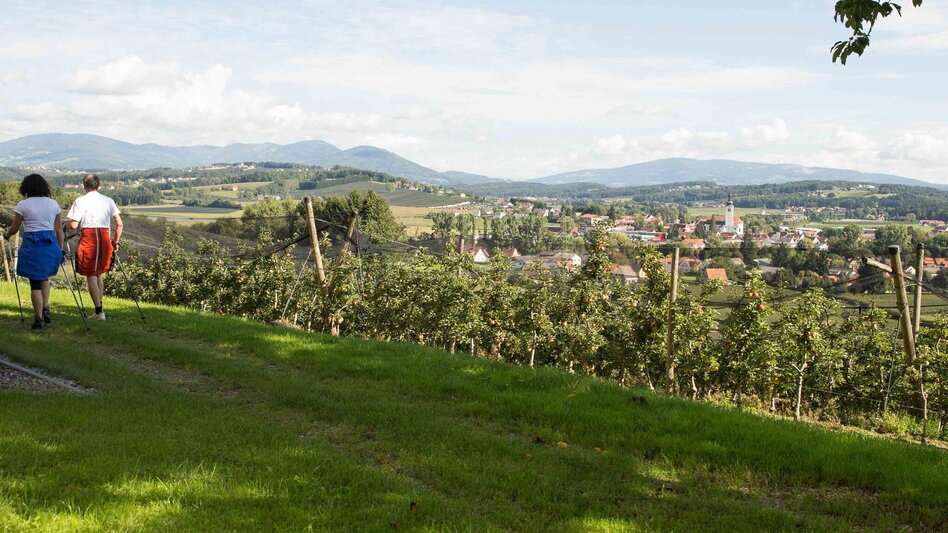 Hiking route Rauchenbergweg, St. Ruprecht/Raab - Touren-Impression #2.1 | © Oststeiermark Tourismus