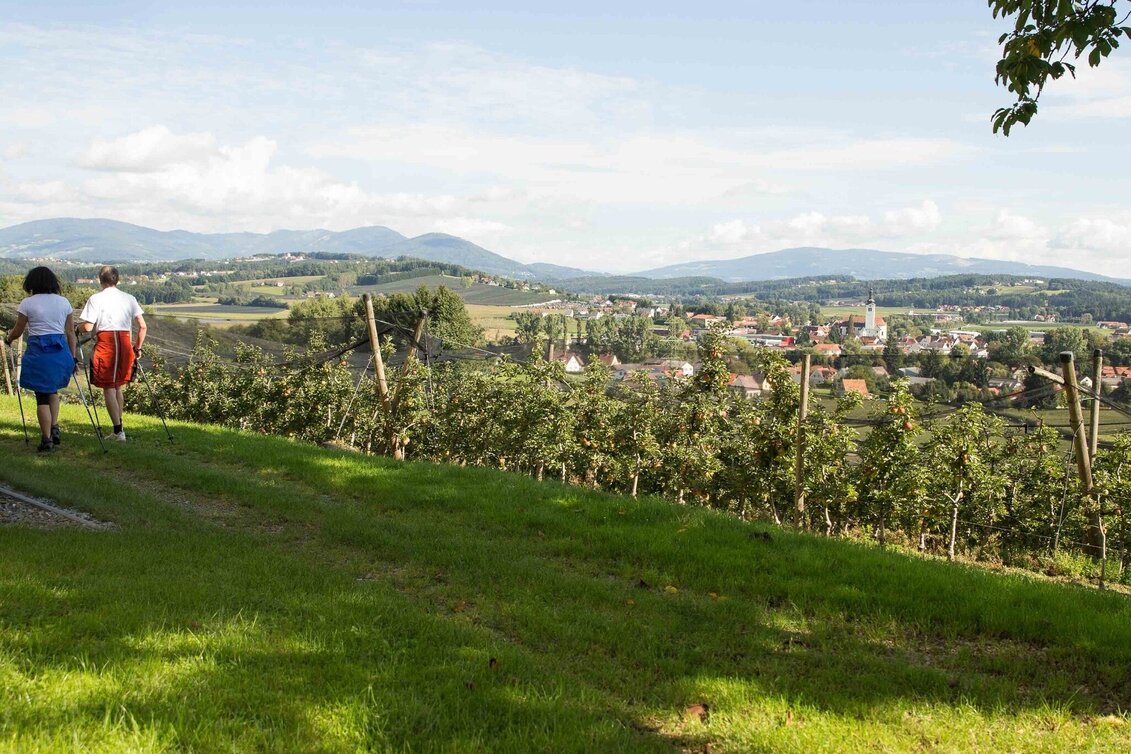 Hiking route Rauchenbergweg, St. Ruprecht/Raab - Touren-Impression #1 | © Oststeiermark Tourismus