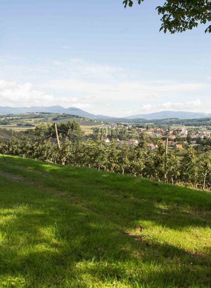 Blick auf St. Ruprecht an der Raab | © Oststeiermark Tourismus | Simon Sackl | © Oststeiermark Tourismus