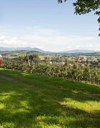 Blick auf St. Ruprecht an der Raab | Simon Sackl | © Oststeiermark Tourismus
