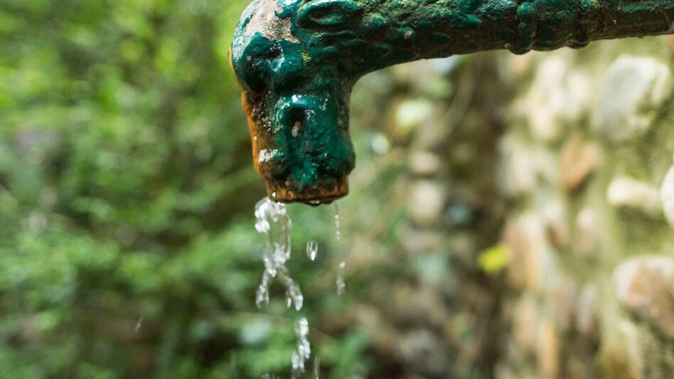 Hiking route Rauchenbergweg, St. Ruprecht/Raab - Touren-Impression #2.4 | © Oststeiermark Tourismus