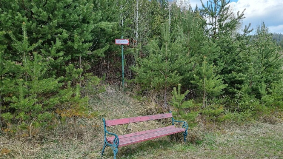 Hiking route Kultsteinweg in Kindberg - Mürzhofen - Touren-Impression #2.8 | © TV Hochsteiermark