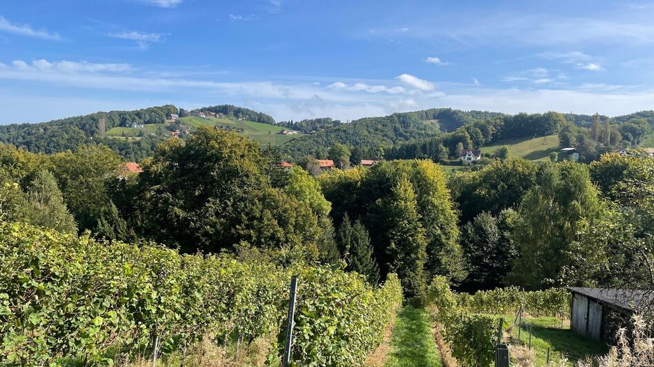 Wanderung Weg der Sinne Nr. 16  - Touren-Impression #2.4 | © TV Südsteiermark/Walch