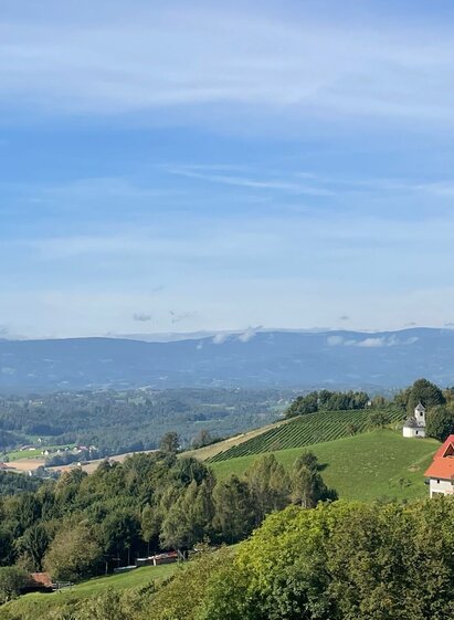 weg der sinne nr. 16 – tour 23 lt. wk „von der alm zum wein“_img_89053889 | © TV Südsteiermark/Walch | Brigitte Walch | © TV Südsteiermark/Walch