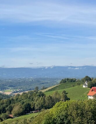 weg der sinne nr. 16 – tour 23 lt. wk „von der alm zum wein“_img_89053889 | Brigitte Walch | © TV Südsteiermark/Walch