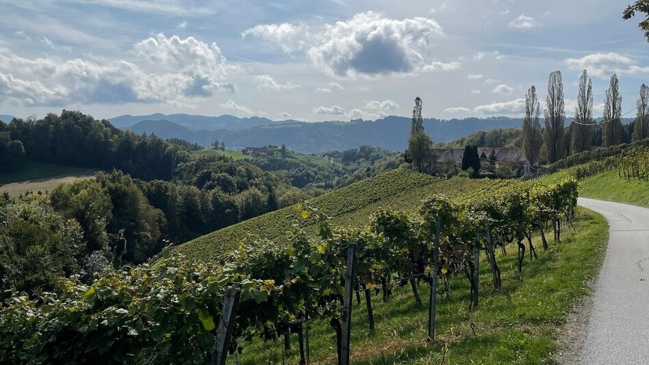 Wanderung Weg der Sinne Nr. 16  - Touren-Impression #2.5 | © TV Südsteiermark/Walch