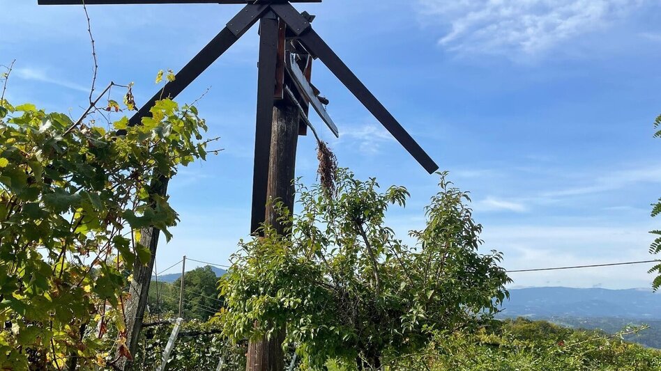 Wanderung Weg der Sinne Nr. 16  - Touren-Impression #2.6 | © TV Südsteiermark/Walch