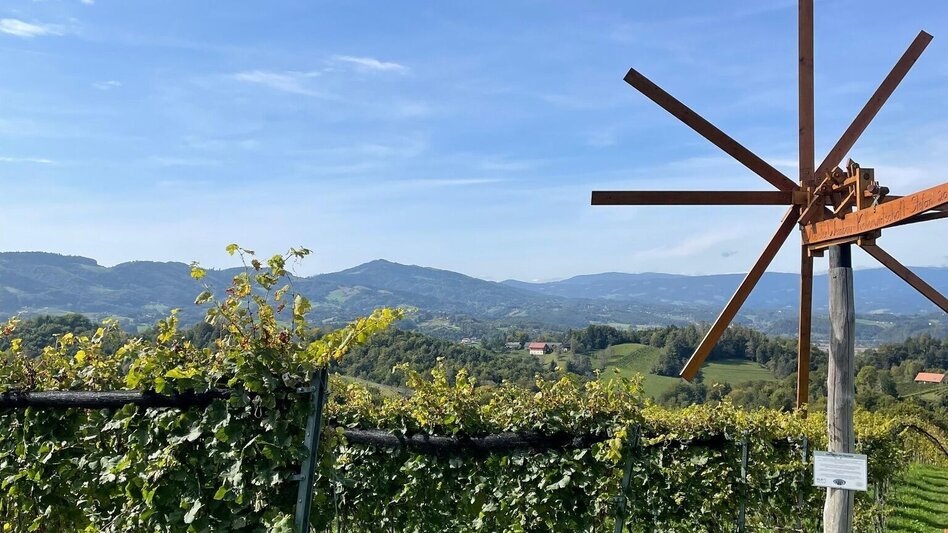 Wanderung Weg der Sinne Nr. 16  - Touren-Impression #2.7 | © TV Südsteiermark/Walch