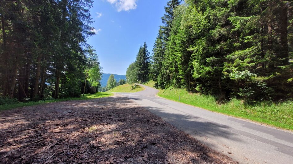 Wanderung Reinischwirt - Absetzwirt Rundweg - Touren-Impression #2.1 | © TVB Südsteiermark/Irene Löschnig