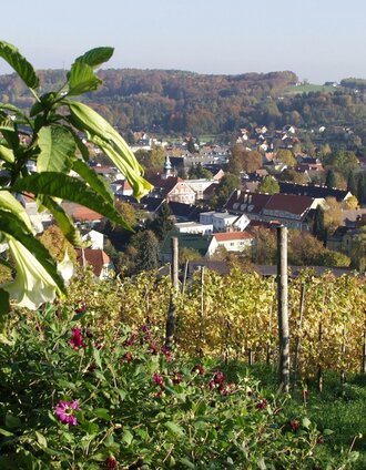 Weinberg mit Blick auf Deutschlandsberg | Brigitte Kügerl | © TVB Südsteiermark/Brigitte Kügerl