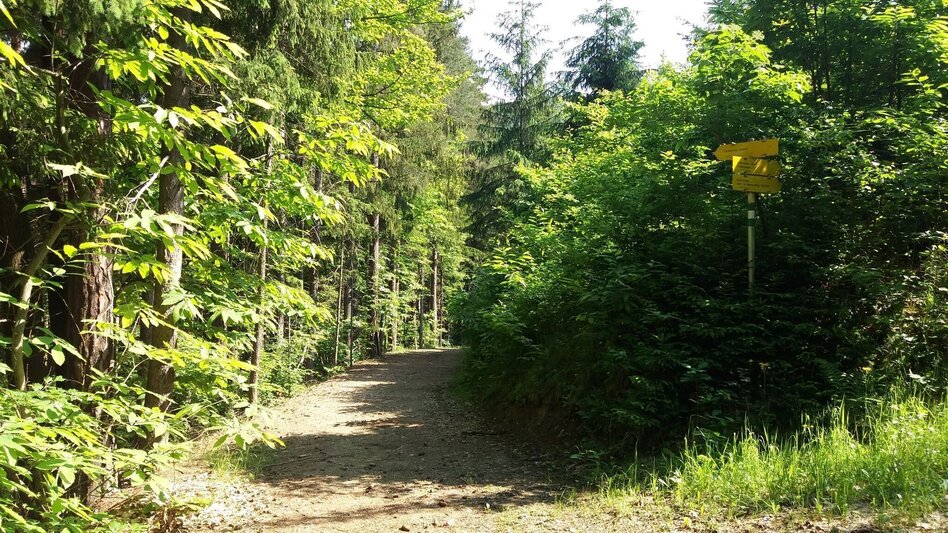 Wanderung Bärnbacher Erzherzog Johann Wanderweg (5) - Touren-Impression #2.6 | © Region Graz