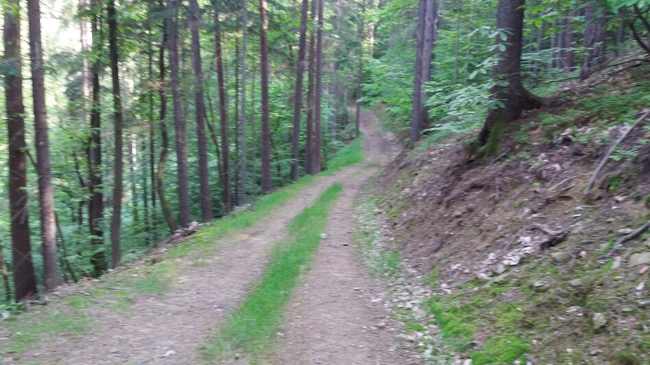 Wanderung Bärnbacher Erzherzog Johann Wanderweg (5) - Touren-Impression #2.7 | © Region Graz
